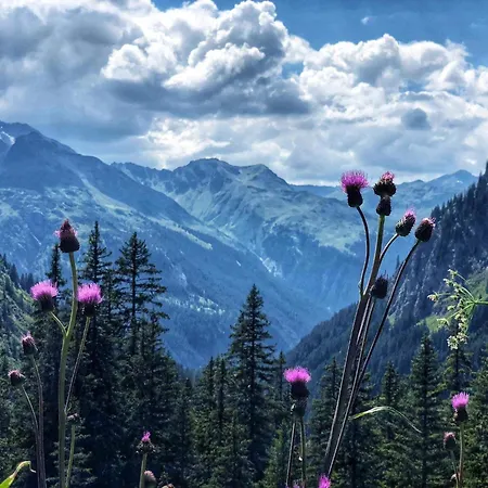 Apartament In Nahe Skilift